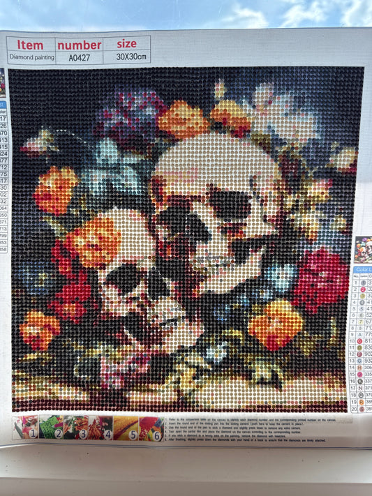 Skull Artwork